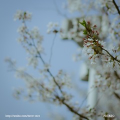 _IGP0621