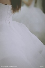 _IGP0786