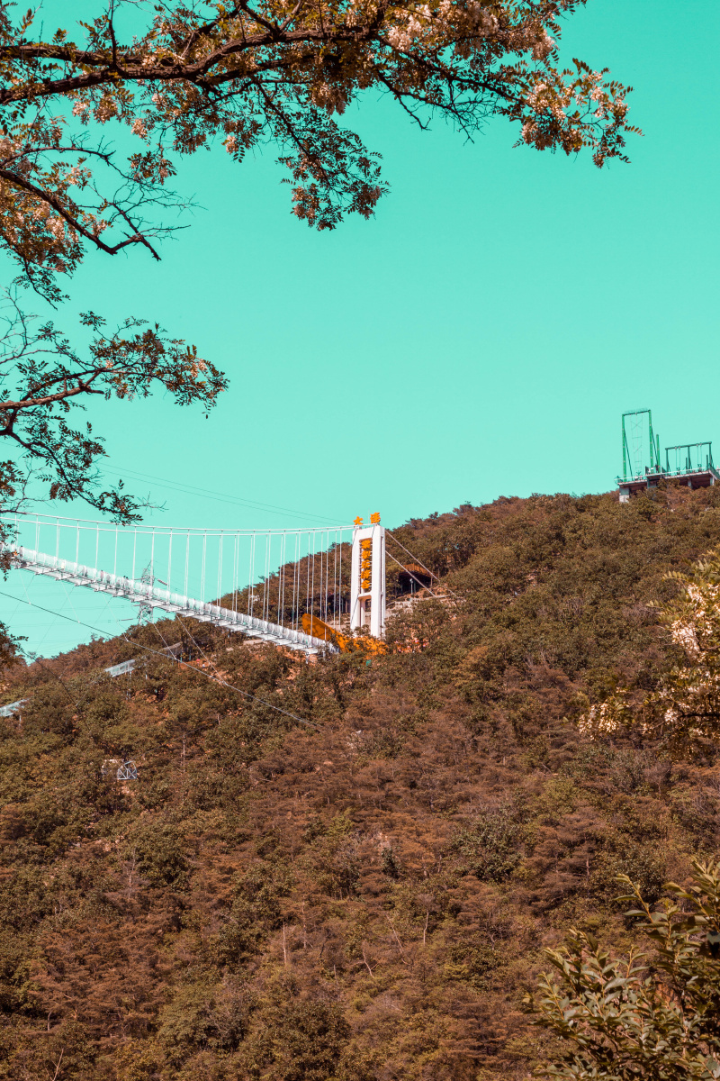 大连棠梨谷乐园.