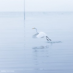 后海。天堂Ⅱ(6)