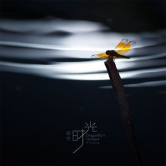 火龙作品-蜓住时光-封面