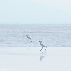 后海。天堂 (6)