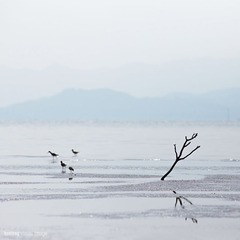 后海。天堂 (7)