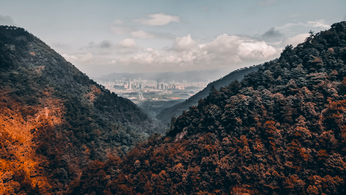 90后油腻大叔 - 图虫