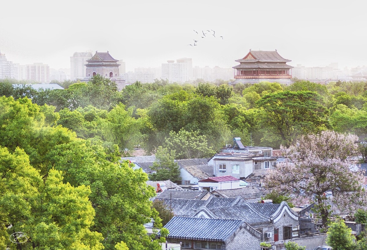 空气里飘着花香的气息 天空中飞着成群的白鸽 <br />
有人说有些东西总要死掉 但我希望死掉的不是这座老城的魂。<br />
这张照片也是我个人非常喜欢的一张照片,登上这个机位,就不禁想起小学时爷爷骑自行车带着我上学时,一路的花香鸟啼晨雾钟鸣,是我记忆里的童年时光,后期时也努力营造这样一种氛围。<br />