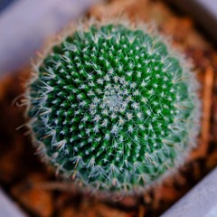 19C5BA5C-12DF-44A0-AEB8-31880AD76776/L0/001