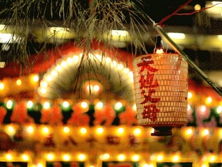 P8256696_副本.jpg