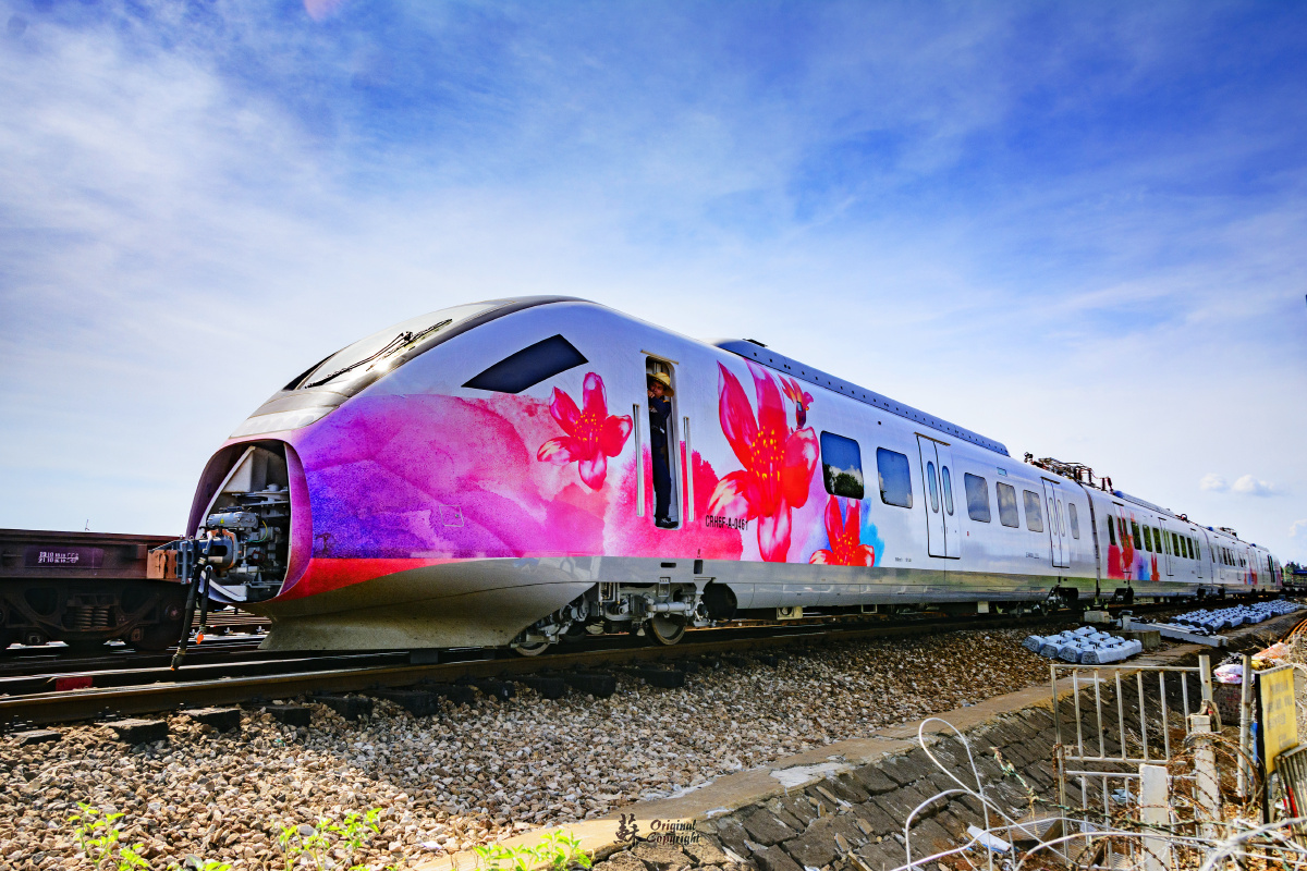 水军勿入海安南站围堵彩绘动车