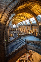 Natural History Museum-London