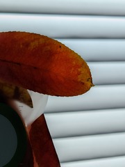 1000140150