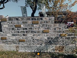 1000146422
