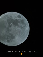 1000140172
