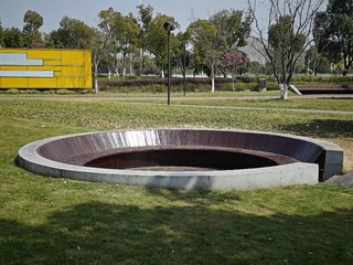 1000172325