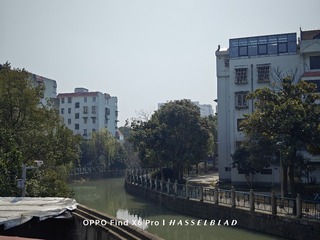 1000168994