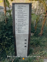 1000146613
