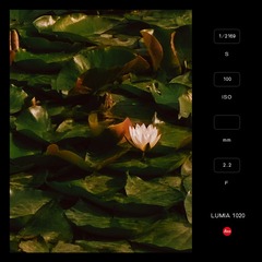 1000056115