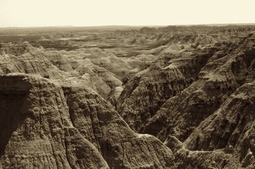 _DSC0017
