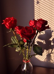 _CSC0571