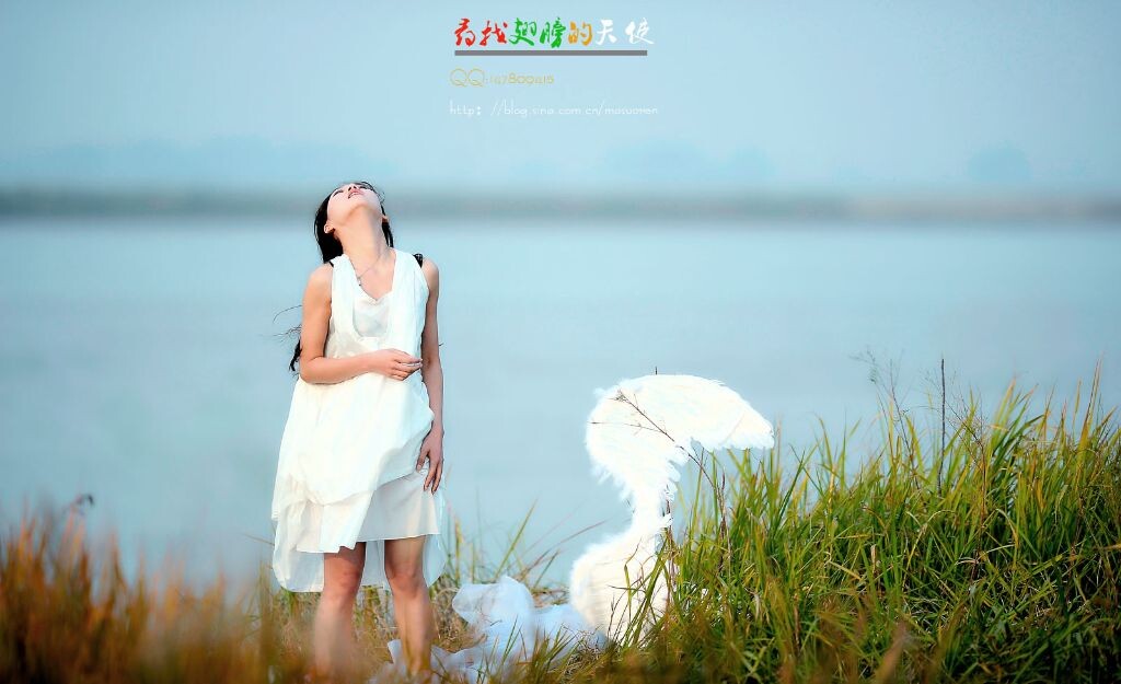 寻找11<br />
