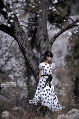 x_MSR9785.jpg
