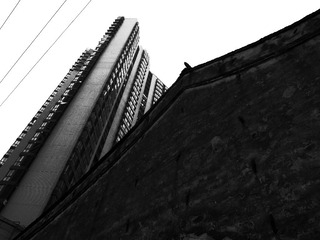 R0010230.JPG