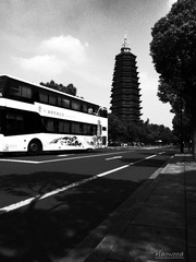 R0010169.JPG
