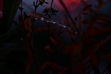 1059671