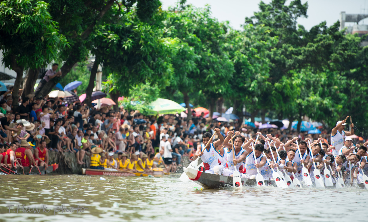 江门礼乐龙舟赛