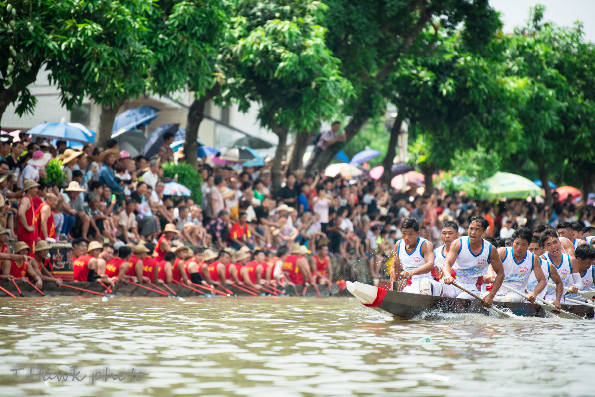 江门礼乐龙舟赛