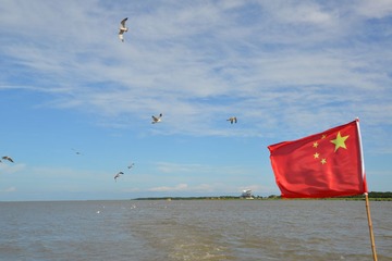 DSC_0893.JPG