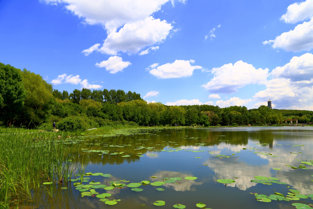 长春净月潭国家森林公园0017