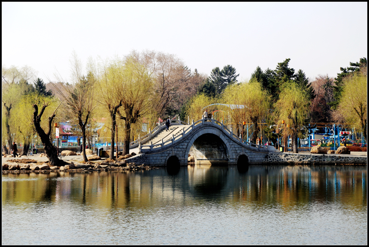 石拱小桥,湖水,刚发芽的垂柳这就是长春南湖春天的景色