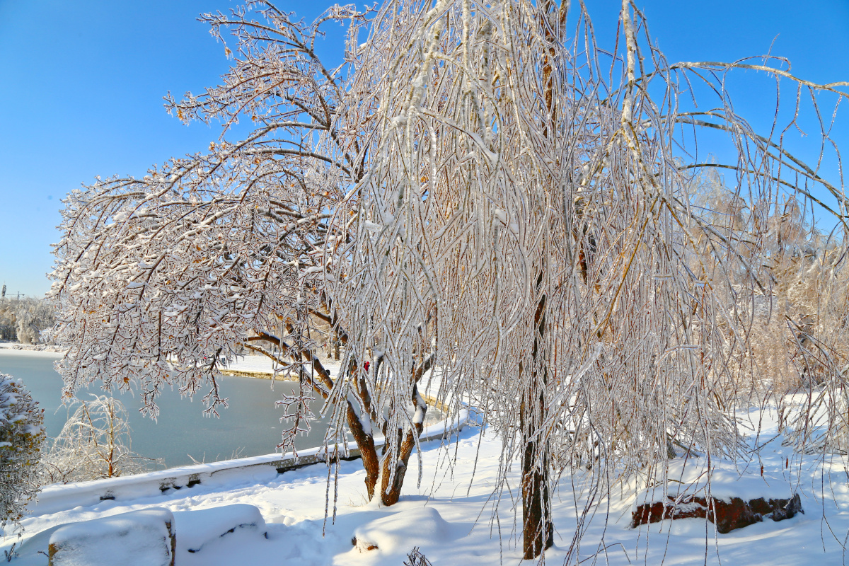 2020年冬天长春的第一场雪,这是在长春南湖拍摄的景色.