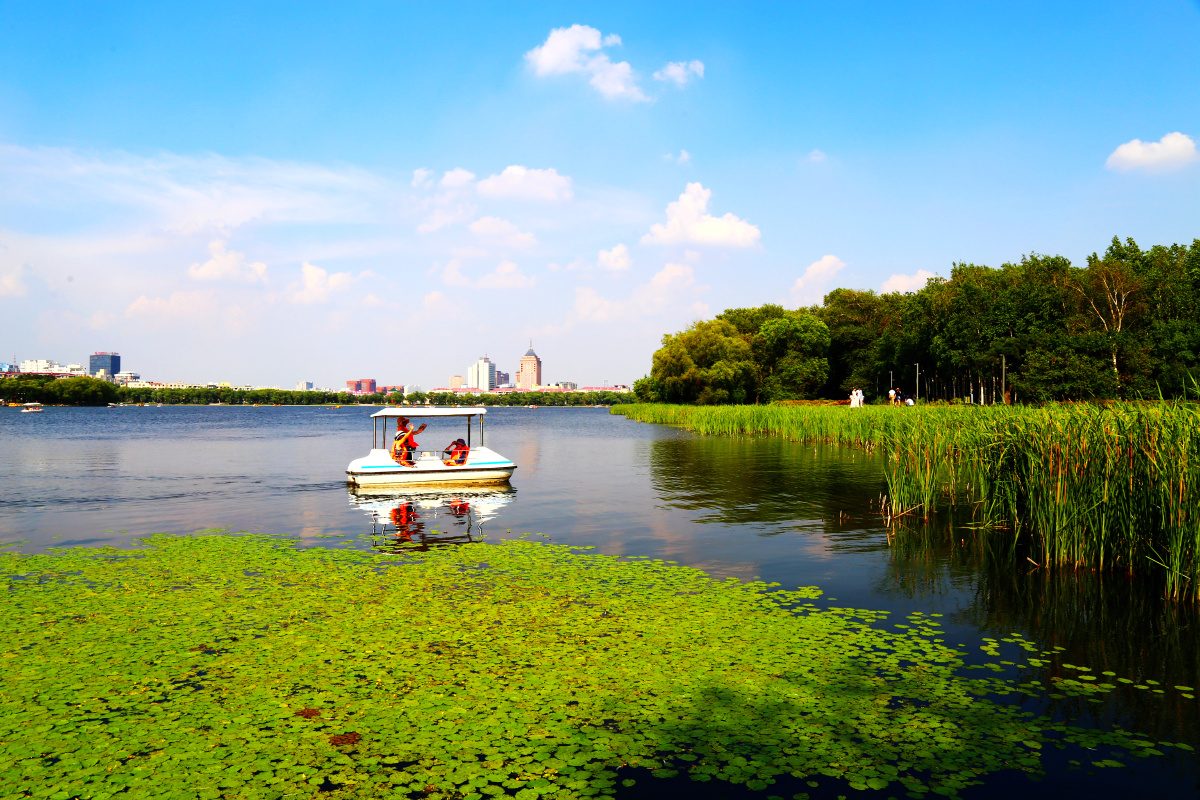 南湖夏天的景色45