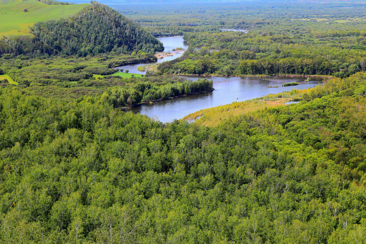 额尔古纳湿地【46】