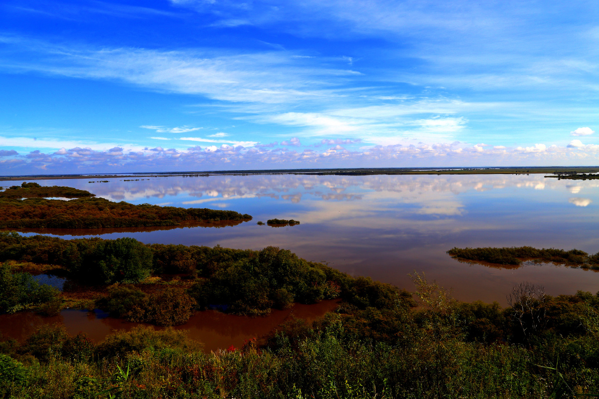 伊春茅兰河口湿地6
