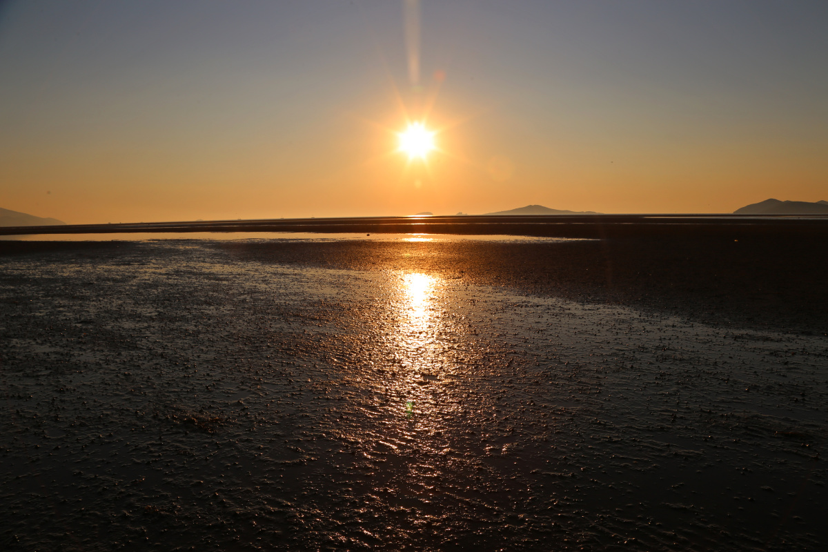 大连北海头【2340】