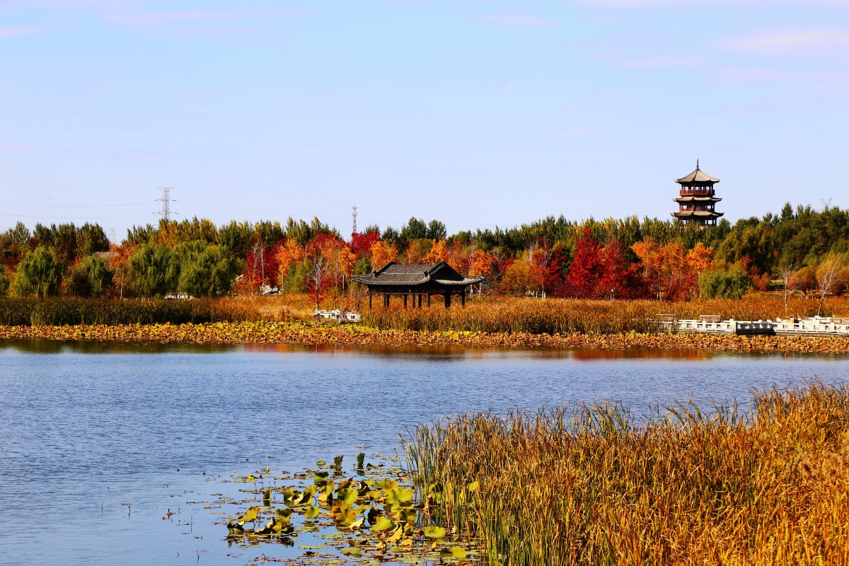 长春北湖国家湿地公园秋天的景色,色彩斑斓风景如画,宛如童话