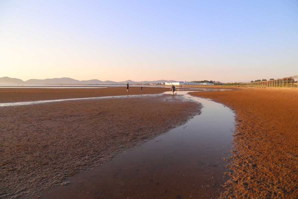 大连北海头【2332】