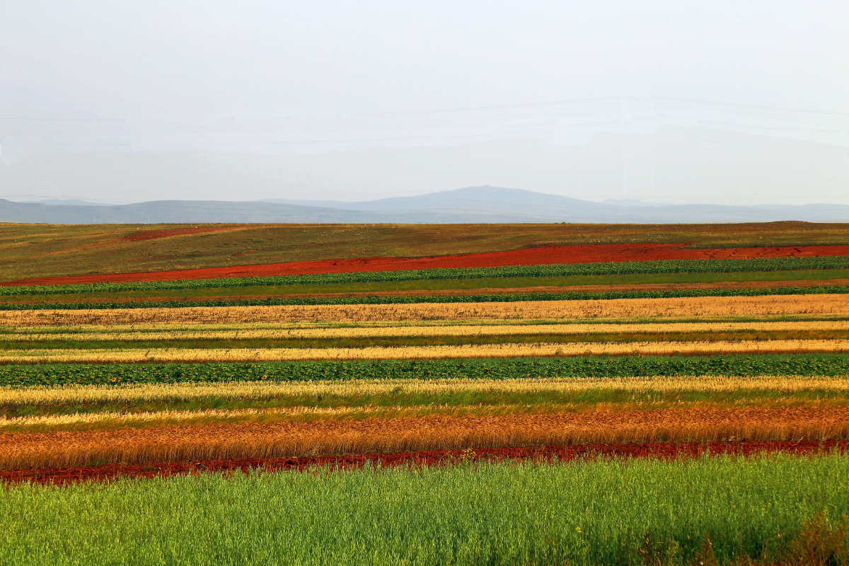 内蒙古秋天大地的色彩7811