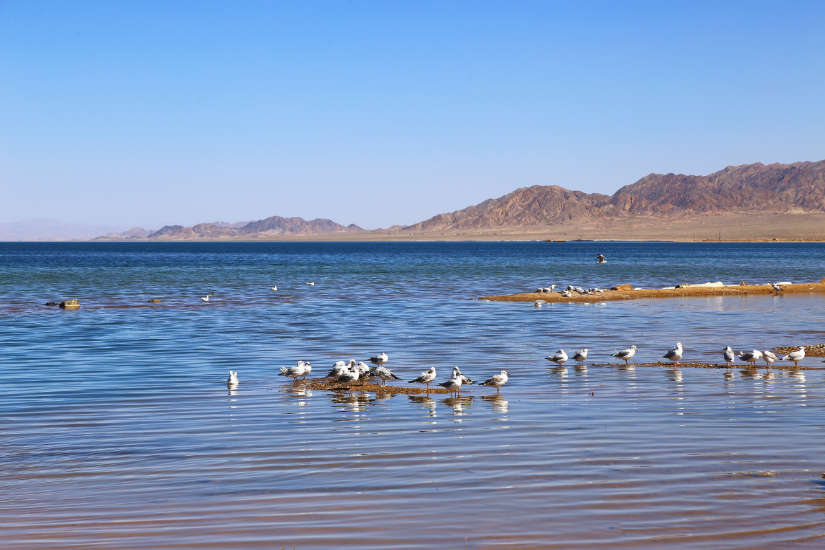 青海小柴旦湖7016