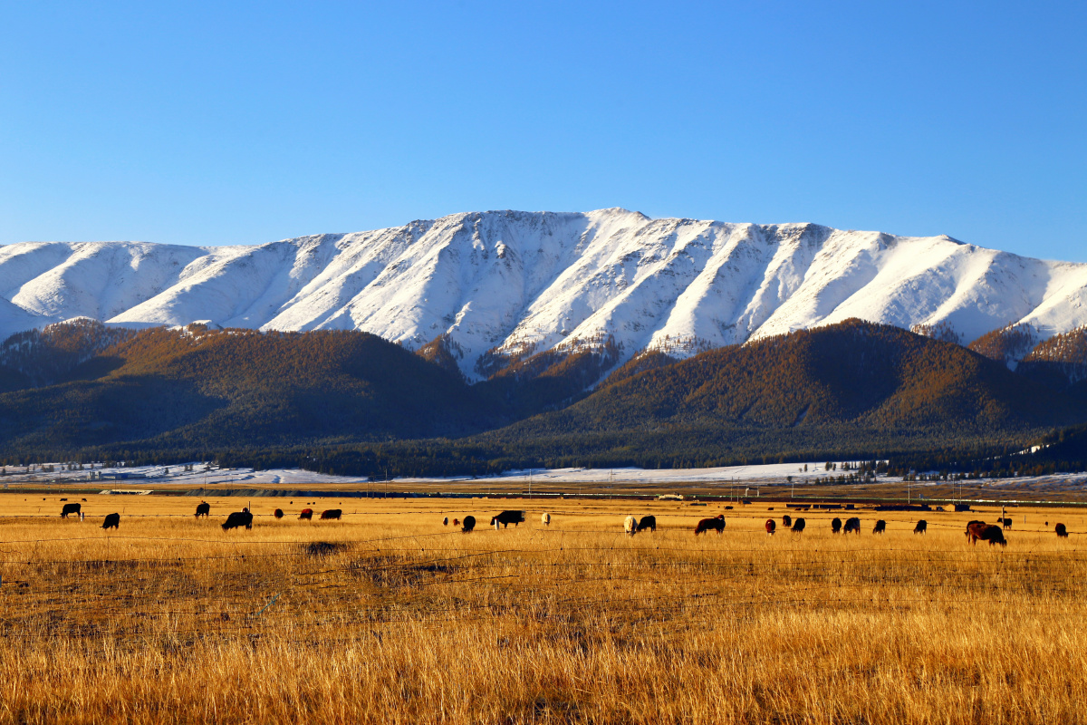 新疆巴里坤风光0590