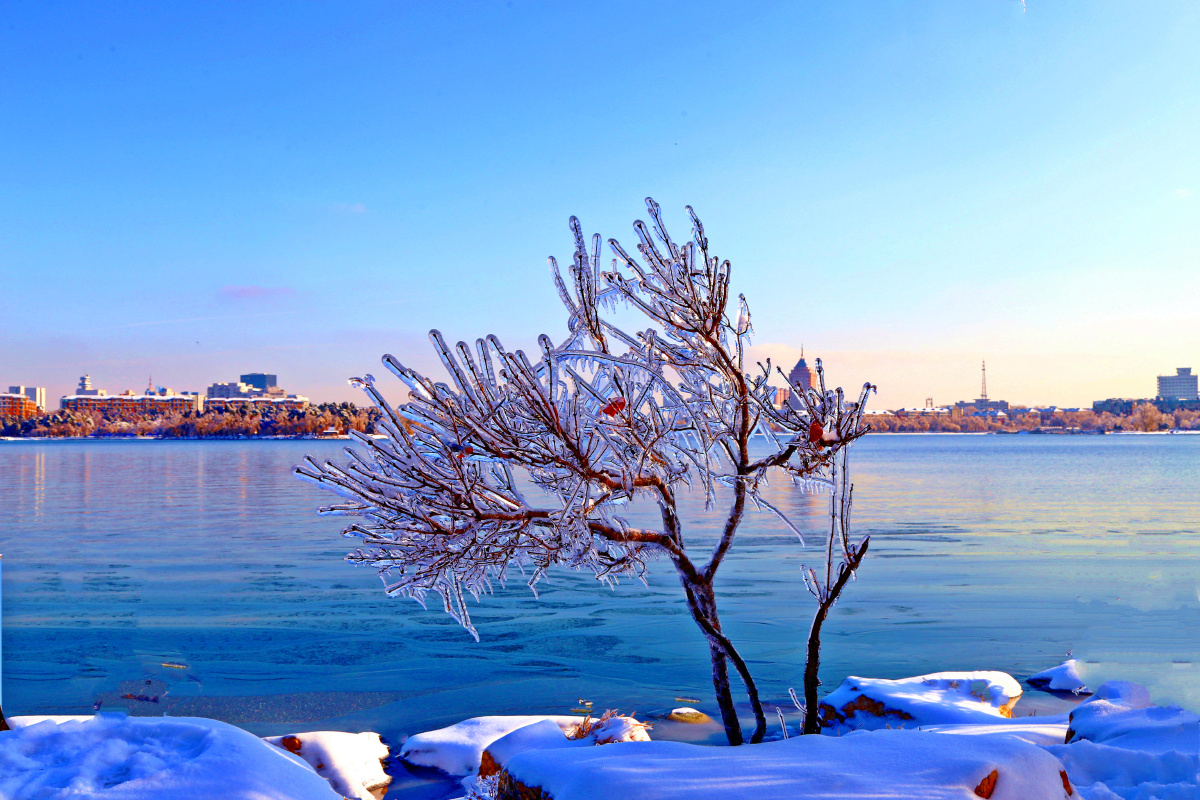 长春南湖雪后美景5205