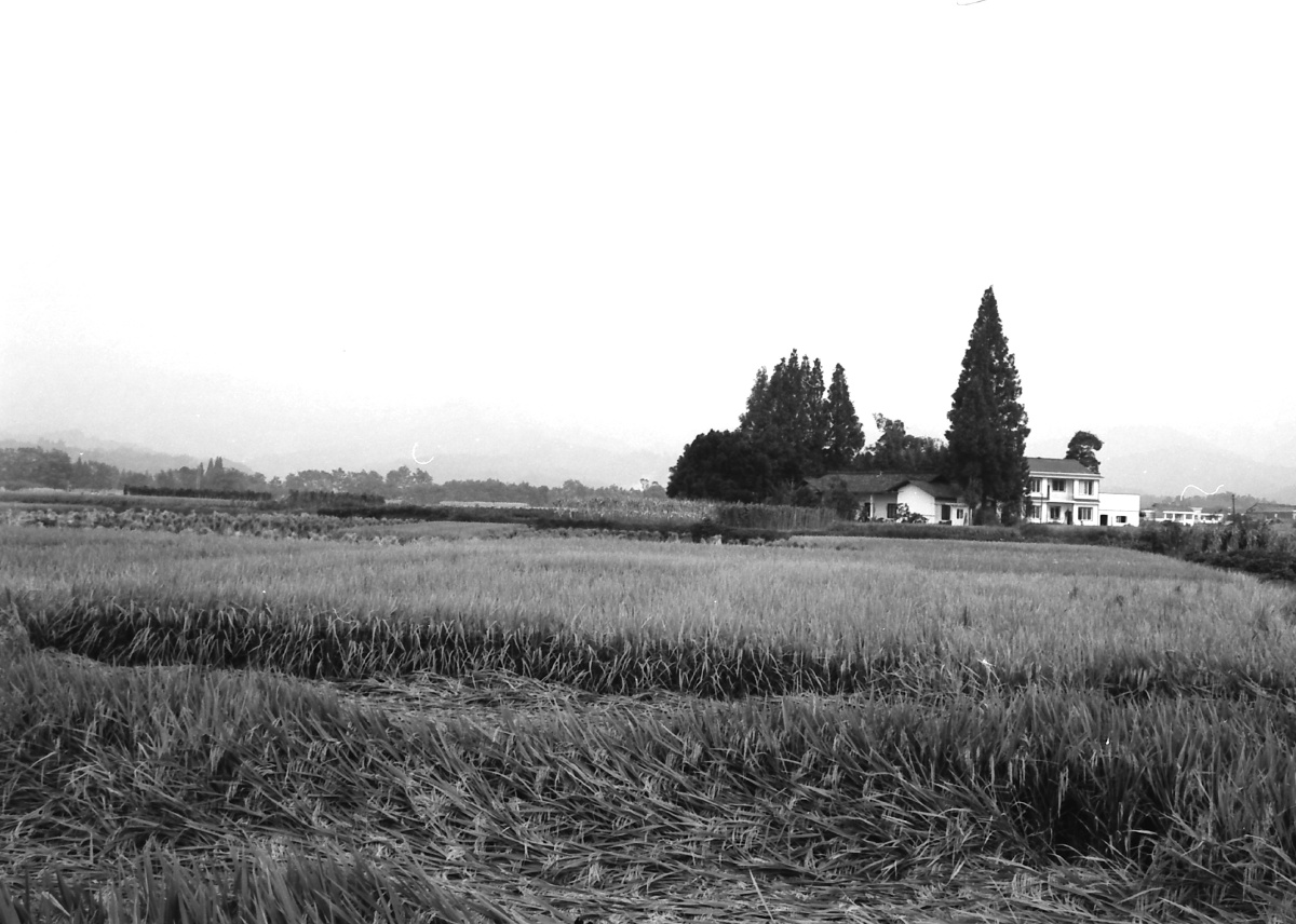 100(iso 100-d76-1 1-10分30秒)-01-11 br /> 花溪 路边的稻田和农家