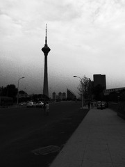 R0010119.JPG