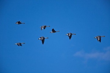 _MG_3504-1.jpg