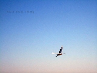 IMG_2472.jpg