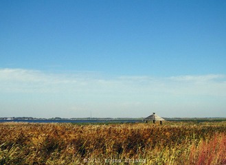 IMG_2516.jpg