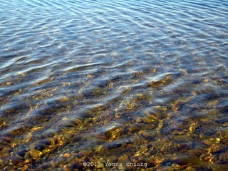 IMG_2518.jpg