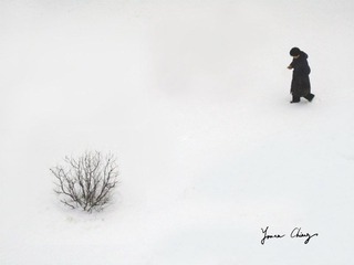 IMG_2849.jpg